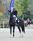 Cheval de dressage 