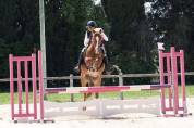 Super poney de concours