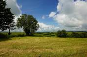 CORPS DE FERME AVEC 5HA90 DE PRES