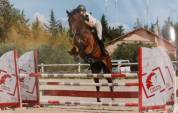 7 ans polyvalent 