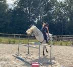 Top ponette 5 ans 