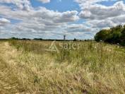 Vente terres agricoles libres