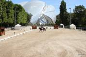 ENSEIGNANT(E) D'ÉQUITATION - COACH DRESSAGE  / CSO