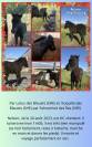 Poulains/Pouliche shetlands 6mois/1ans PP/OC