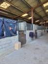 Propriété Equestre 15Ha -  12 Pièces - Gironde