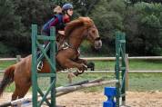 Poney de sport 12 ans