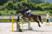 Ponette PFS 6 ans