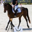 Ponette PFS 6 ans