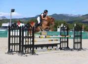 Poney de sport