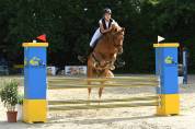 Poney de sport