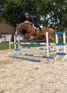 Poney Hors Cotes pour CSO