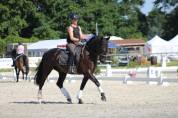 Jeune Pure Race Espagnole dressage primé