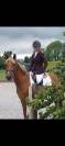 Chic ponette  11ans CCE