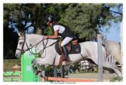 Poney de sport PFS / Arabe