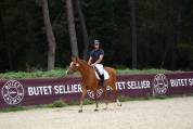 Hongre New Forest 3 ans