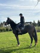 Jument 4 ans Zarra de Hus