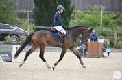 Jument 4 ans Zarra de Hus