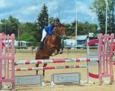 A VENDRE Ponette C 5 ans