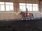 complet/dressage: OLD; prix special avant fin octobre