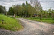 Pension chevaux Seine et Marne