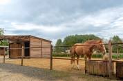 Pension chevaux Seine et Marne