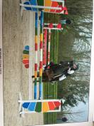 Ponette de Sport PFS