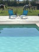 LOCATION PROPRIETE EQUESTRE AVEC PISCINE INTERIEURE