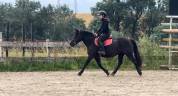 Ponette C ONC 6 ans