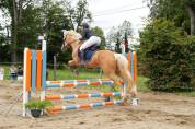 Ponette pfs 6 ans 