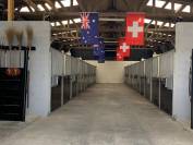 Box a louer dans ecurie CSO International 