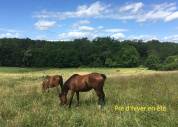 Pension en partage de prés