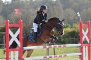 Poney de concours maxi C, Welch, 11 ans