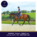 HONGRE AQPS 5 ans environ 1m75 - top locomotion