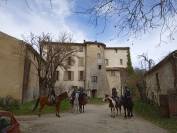 Balades et randonnées à cheval - tous niveaux en petits