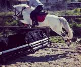 Ponette D 1m45 PP