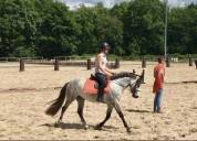 Ponette D 1m45 PP