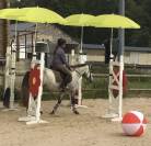 Ponette D 1m45 PP