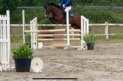 Ponette D CSO CCE 