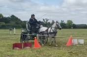 Ponette Dartmoor 