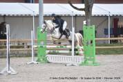 À vendre poney C de 6 ans CSO 90cm