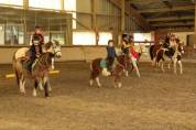 L'Orée centre équestre - Pensions chevaux 