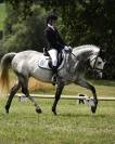 Chouette poney de concours