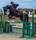 A Vendre Ponette de sport exceptionnelle Grand Prix