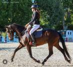 A Vendre Ponette de sport exceptionnelle Grand Prix