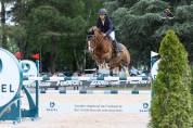 Poney de grand prix 