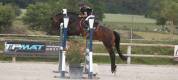 Loue poney de sport  pour cso cce ou hunter