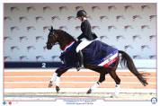 PONEY DE DRESSAGE à louer