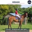 MAGNIFIQUE HONGRE PS BAI - MIRASH - 8 ANS 