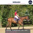 MAGNIFIQUE HONGRE PS BAI - MIRASH - 8 ANS 