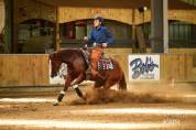 Jument Quarter Horse PP